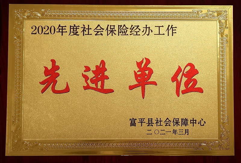 富平公司榮獲富平縣“社會保險工作先進(jìn)單位”