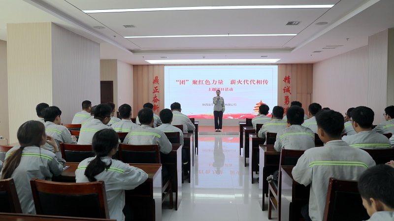 共話青春 寄語未來——富平公司開展“‘團(tuán)’聚紅色力量 薪火代代相傳”主題團(tuán)日活動(dòng)