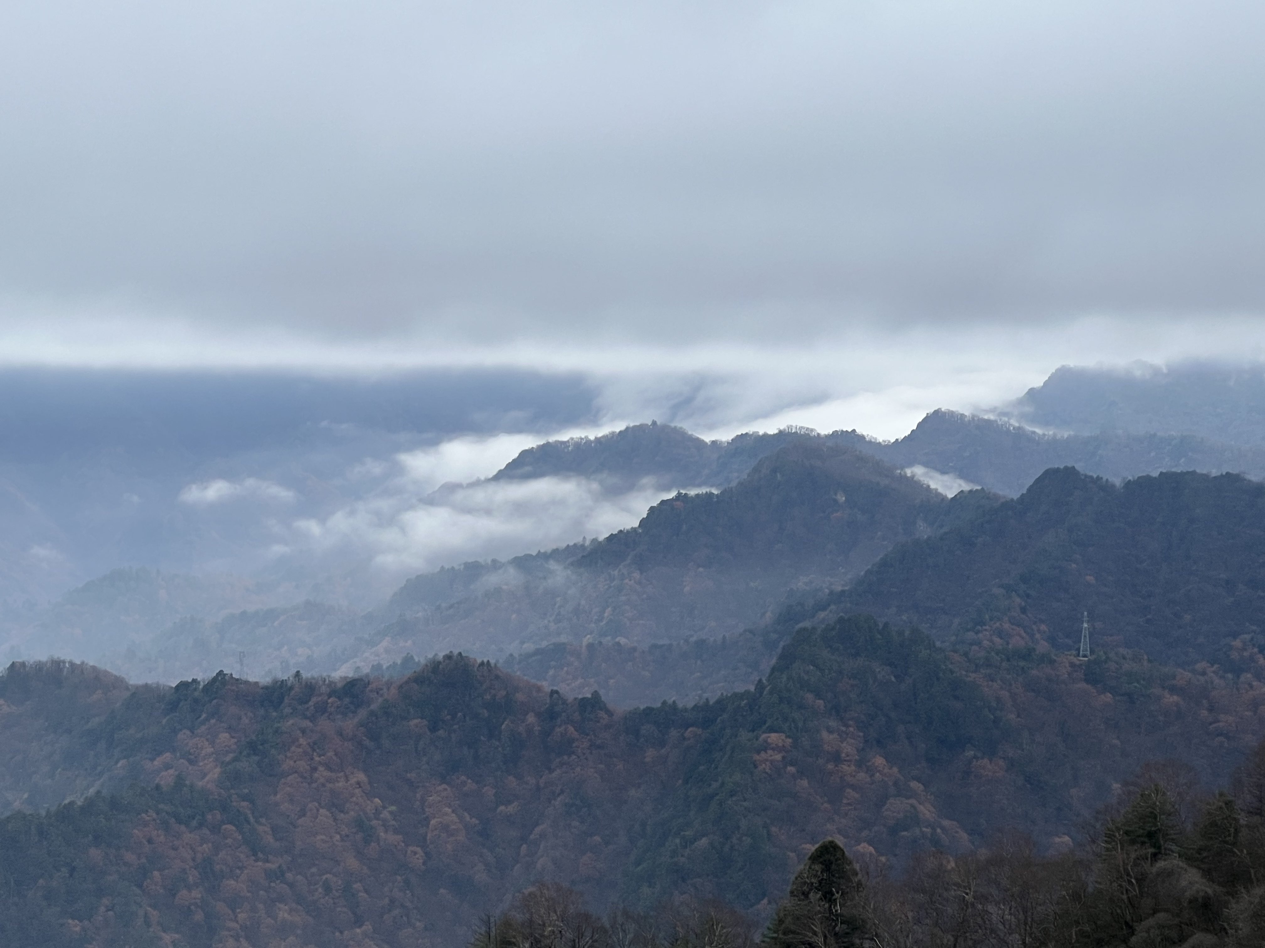 華山營(yíng)銷公司：冬已立，寒信至